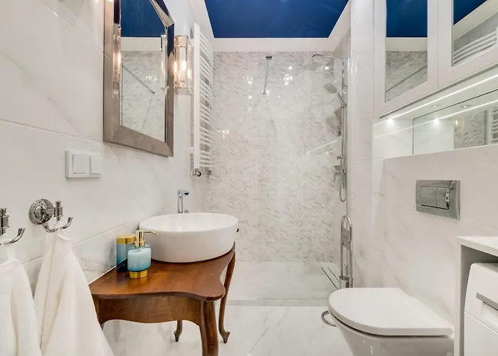 Tespis - Francuska Atal Park Premium * 卡托维兹